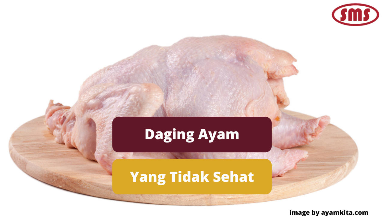 Daging Ayam Broiler Yang Tidak Layak Konsumsi